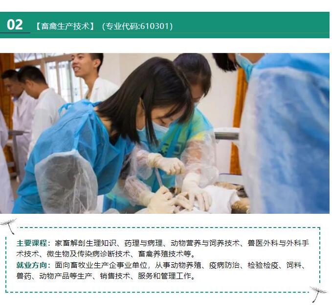 梅州農業學校梅州市理工學校2023年秋季招生簡章